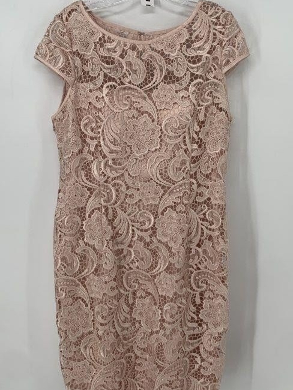 Adrianna Papell Pale Pink Lace Dress